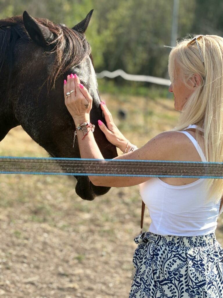 Véronique Corneil en communication et soin animalier. Bordeaux